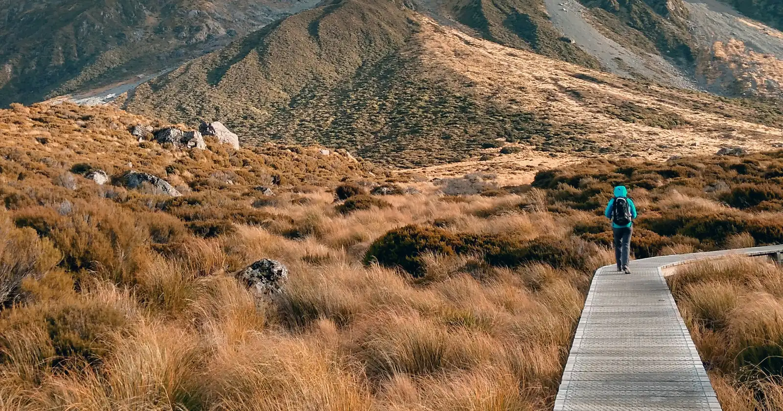 A walker on a boardwalk trail heading toward the ranges.